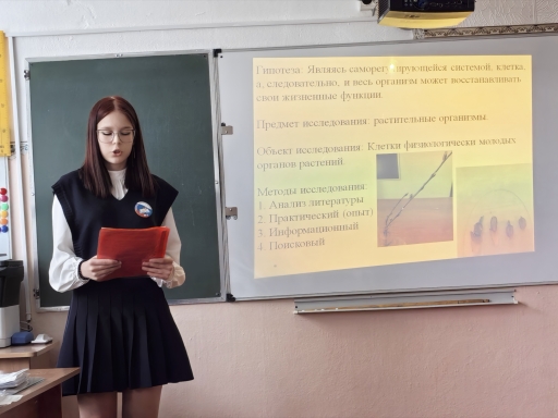 Защита индивидуальных проектов в 9 классе.